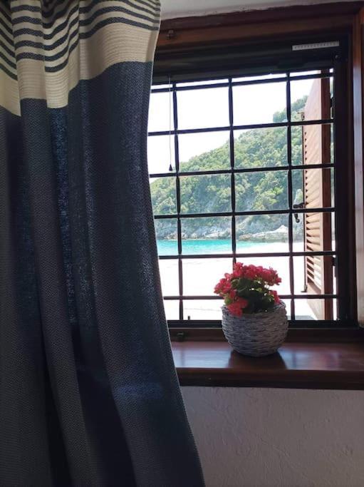 Κυμοθόη Villa Milopotamu Dış mekan fotoğraf